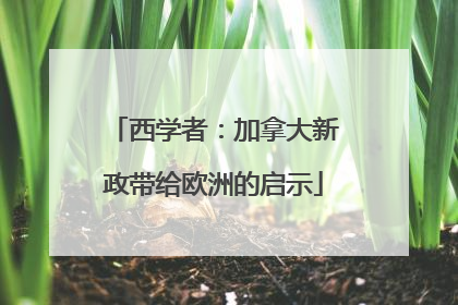 西学者：加拿大新政带给欧洲的启示