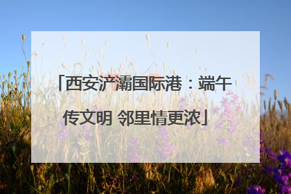 西安浐灞国际港：端午传文明 邻里情更浓
