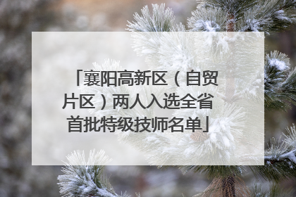 襄阳高新区（自贸片区）两人入选全省首批特级技师名单