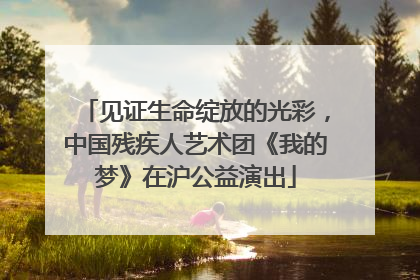 见证生命绽放的光彩，中国残疾人艺术团《我的梦》在沪公益演出