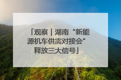 观察｜湖南“新能源机车供需对接会”释放三大信号