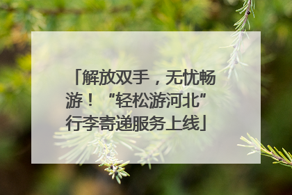 解放双手，无忧畅游！“轻松游河北”行李寄递服务上线