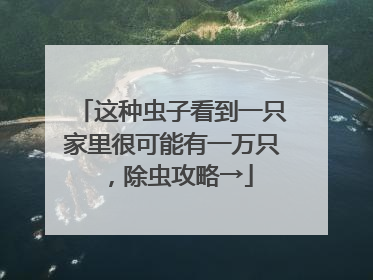 这种虫子看到一只家里很可能有一万只，除虫攻略→