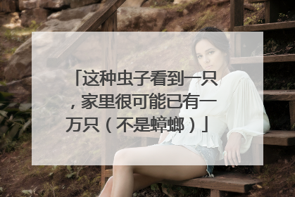 这种虫子看到一只，家里很可能已有一万只（不是蟑螂）