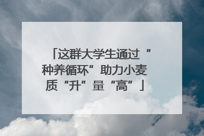 这群大学生通过“种养循环”助力小麦质“升”量“高”