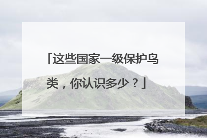 这些国家一级保护鸟类，你认识多少？
