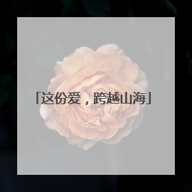 这份爱，跨越山海