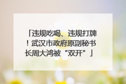 违规吃喝、违规打牌！武汉市政府原副秘书长周大鸿被“双开”