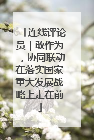 连线评论员｜敢作为，协同联动在落实国家重大发展战略上走在前