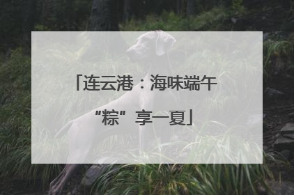 连云港：海味端午 “粽”享一夏