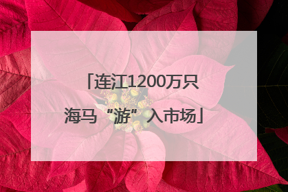 连江1200万只海马“游”入市场