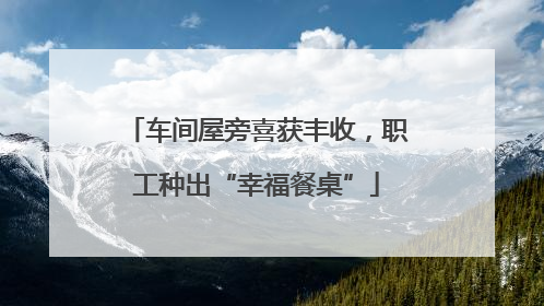 车间屋旁喜获丰收，职工种出“幸福餐桌”
