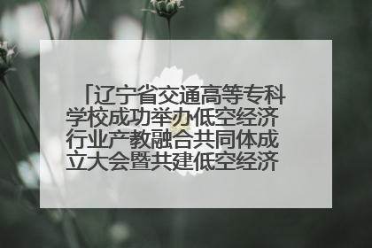 辽宁省交通高等专科学校成功举办低空经济行业产教融合共同体成立大会暨共建低空经济产教融合新生态论坛