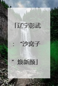 辽宁彰武：“沙窝子”焕新颜