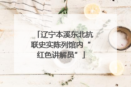 辽宁本溪东北抗联史实陈列馆内“红色讲解员”