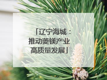 辽宁海城：推动菱镁产业高质量发展