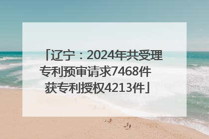 辽宁：2024年共受理专利预审请求7468件 获专利授权4213件