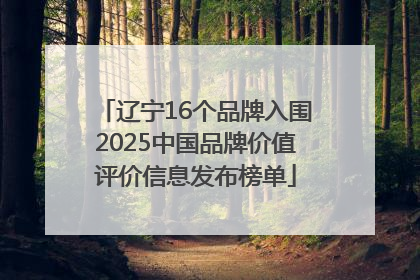 辽宁16个品牌入围2025中国品牌价值评价信息发布榜单