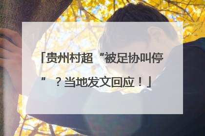 贵州村超“被足协叫停”？当地发文回应！