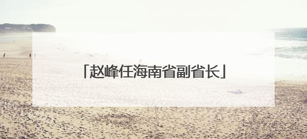 赵峰任海南省副省长