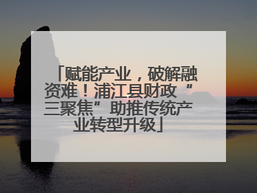 赋能产业，破解融资难！浦江县财政“三聚焦”助推传统产业转型升级
