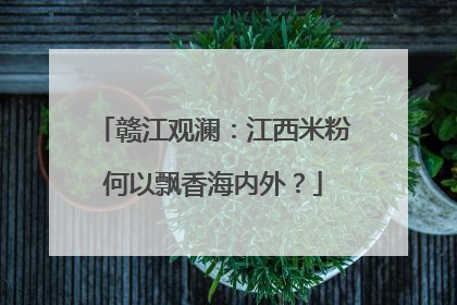 赣江观澜：江西米粉何以飘香海内外？