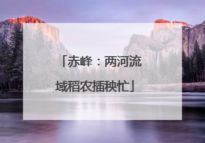 赤峰：两河流域稻农插秧忙