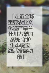 走近全球重要农业文化遗产皋兰什川古梨园系统 守护生态瑰宝 激活发展动能