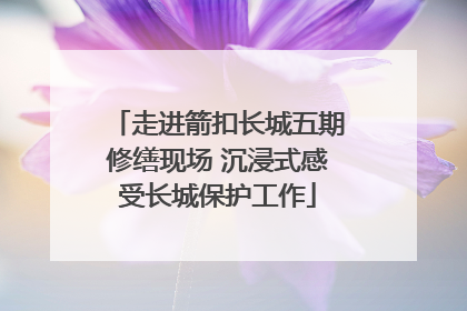走进箭扣长城五期修缮现场 沉浸式感受长城保护工作