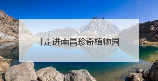 走进南昌珍奇植物园：奇花异草引游人
