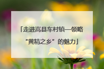 走进嵩县车村镇—领略“黄精之乡”的魅力