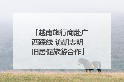 越南旅行商赴广西踩线 访胡志明旧居促旅游合作