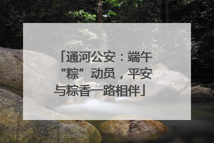 通河公安：端午“粽”动员，平安与粽香一路相伴