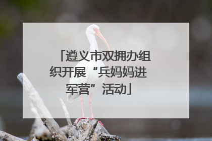 遵义市双拥办组织开展“兵妈妈进军营”活动