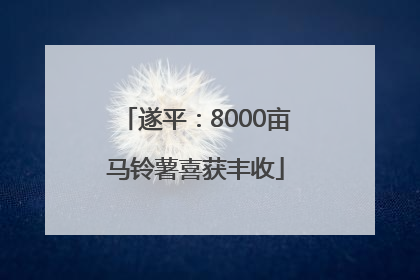 遂平：8000亩马铃薯喜获丰收