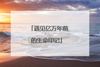 遇见亿万年前的生命印记