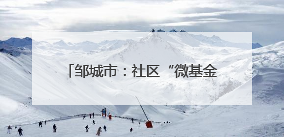 邹城市：社区“微基金”撬动基层“大治理”