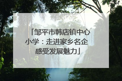 邹平市韩店镇中心小学：走进家乡名企 感受发展魅力