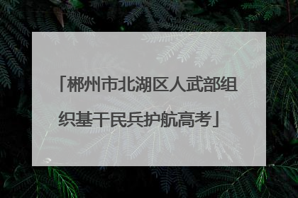 郴州市北湖区人武部组织基干民兵护航高考