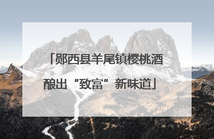 郧西县羊尾镇樱桃酒酿出“致富”新味道