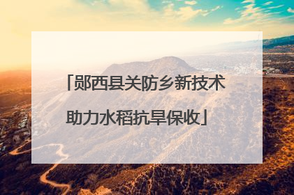 郧西县关防乡新技术助力水稻抗旱保收