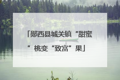 郧西县城关镇“甜蜜”桃变“致富”果