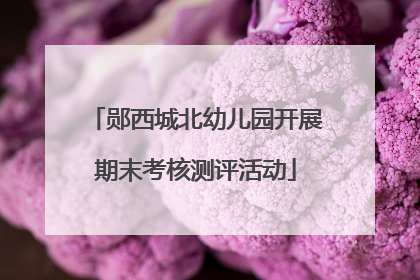 郧西城北幼儿园开展期末考核测评活动