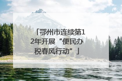 鄂州市连续第12年开展“便民办税春风行动”