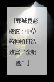 鄄城县彭楼镇：中草药种植打造致富“金钥匙”