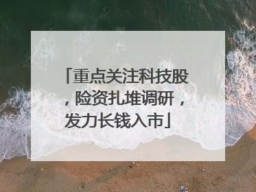 重点关注科技股，险资扎堆调研，发力长钱入市