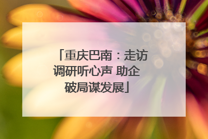重庆巴南：走访调研听心声 助企破局谋发展