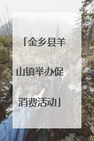 金乡县羊山镇举办促消费活动