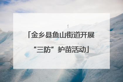 金乡县鱼山街道开展“三防”护苗活动