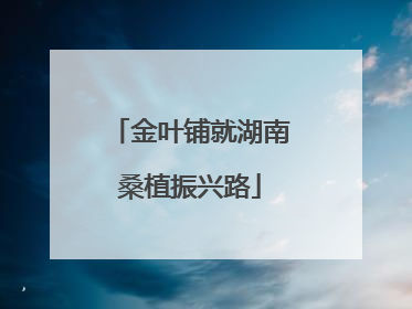 金叶铺就湖南桑植振兴路